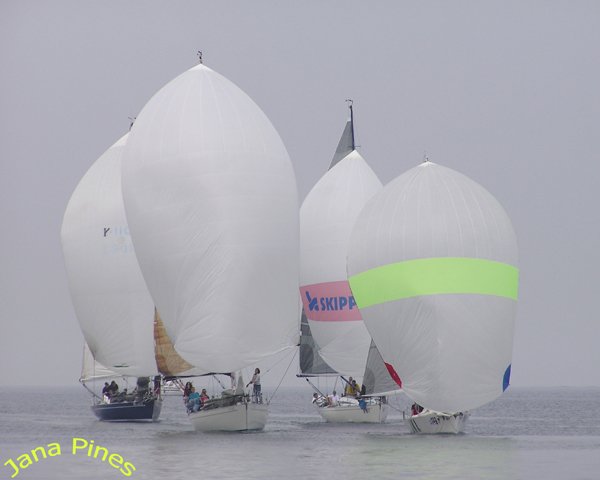 Pokal Victory sails 2006